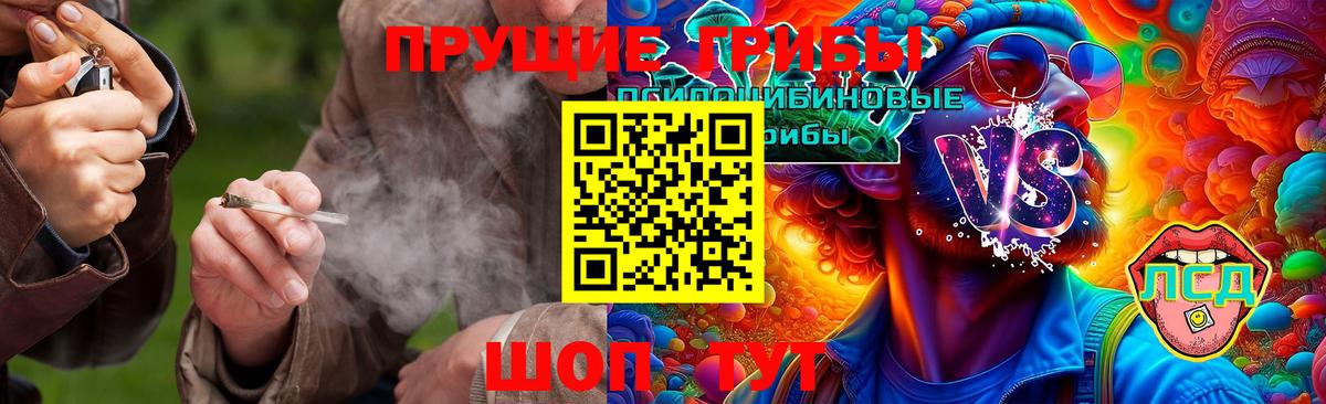 Ишимбай  Галлюциногенные грибы Magic Shrooms  Вход с VPN  Псилоцибиновые грибы Cubensis 